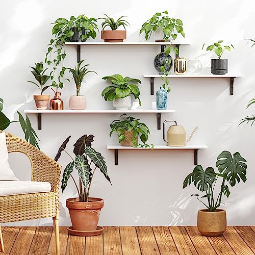 Long Wall Shelves (White / 47.3 Inch)