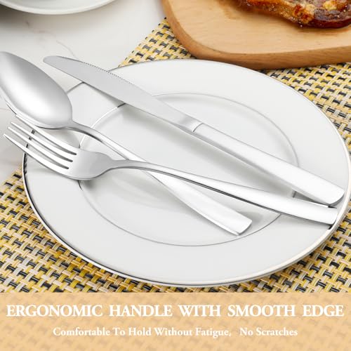 60 Piece Silverware Set Service for 12 (Silver)