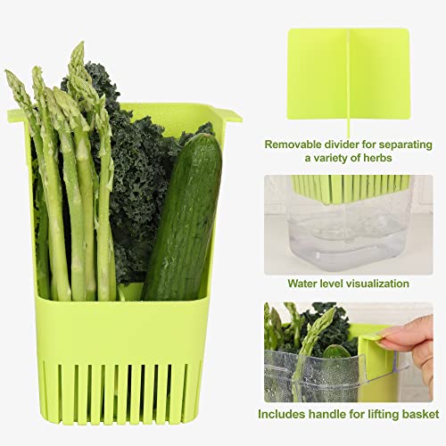 Herb Keeper BPA (Herb Keeper - Green)