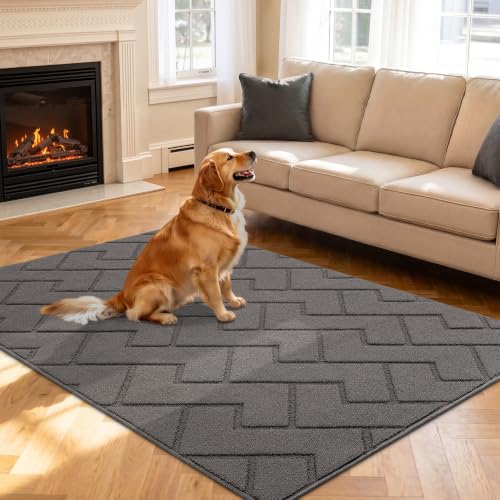 Indoor Doormat (Grey / 71" x 47" (Rectangular))