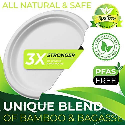 150pcs 100% Compostable Paper Plates (White / 10in(150count))
