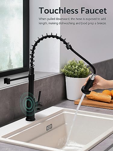 Touchless Kitchen Faucet (Matte Black)