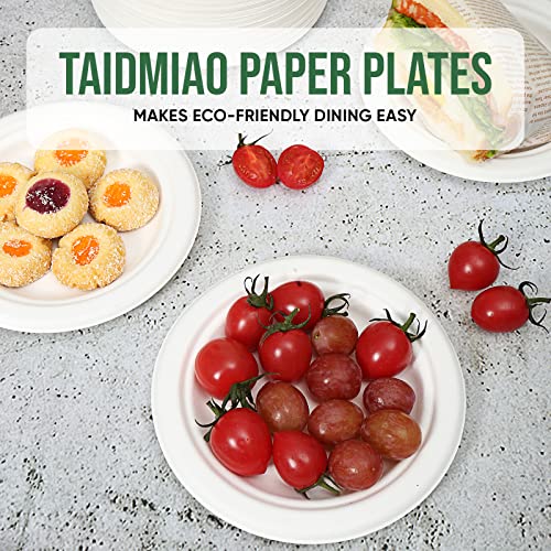 6 inch Paper Plate 100 Pack Small Disposable (White / 6 IN)