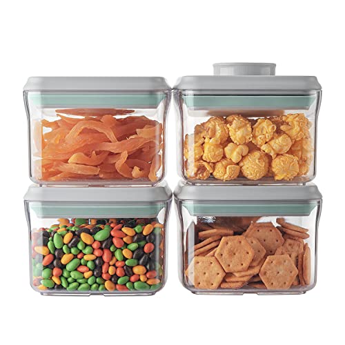 Airtight Container Set (0.32 QT * 4)