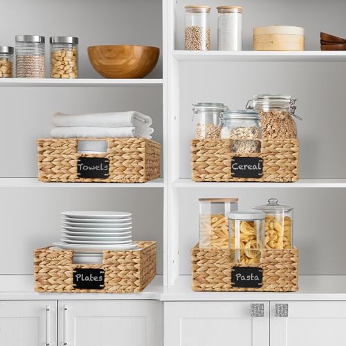 Set of 4 Water Hyacinth Pantry Baskets (Natural - Hyacinth / 12.5" x 17" x 5")