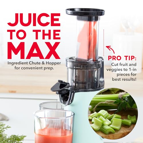 Deluxe Compact Cold Press Juicer (Compact / Aqua)