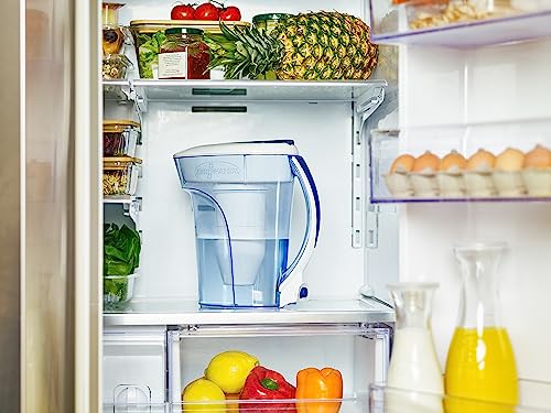 10 Cup Pitcher Water Filter Removes PFOA (10-Cup)