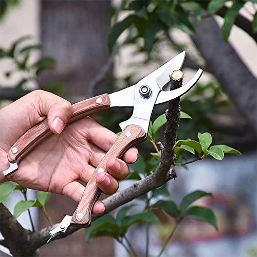 8” Wood Handle Garden Scissors (8"WoodHandleShearsSet(E023))