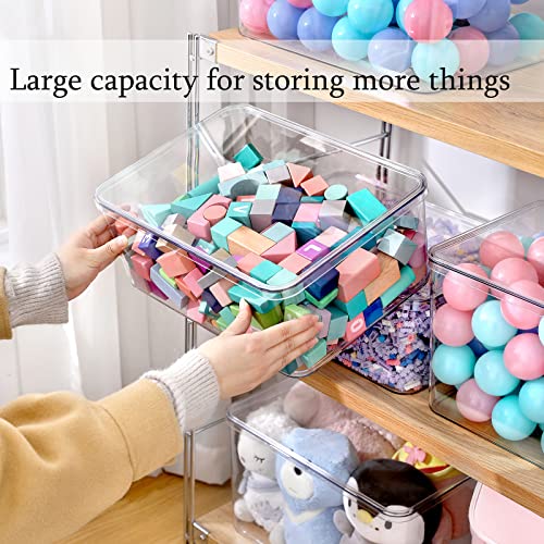 Clear Storage Bins With Lids (3L+2S)