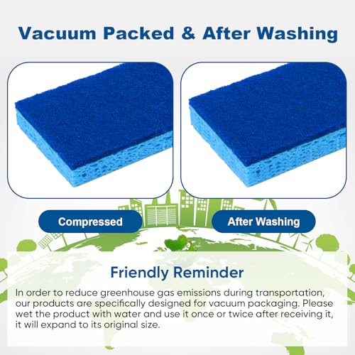 Sponges Kitchen 48 Pack (Blue-rectangle)