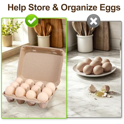 25 Pack Egg Cartons Bulk (3x4 Style - 25Pack)