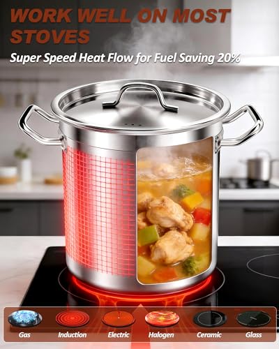Large Stock Pot with Lid (40 Quarts)