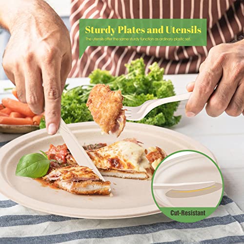 Compostable Paper Plates Napkins Set 250pcs Disposable Plates (250pcs)