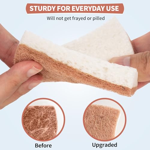 Natural Dish Sponge 12 Pack (12 Count)