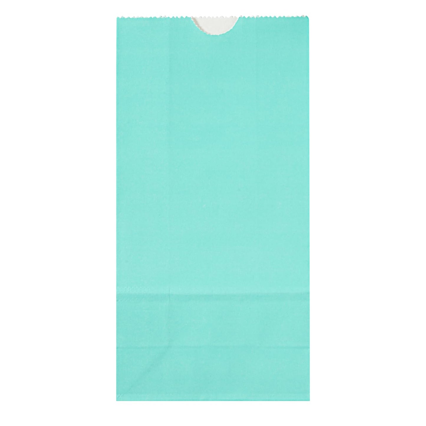 Turquoise Paper Bag (2 lb / Turquoise)