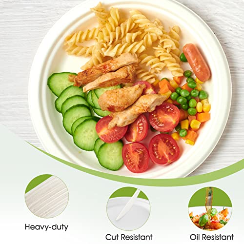 120 Pack Compostable Paper Plates Disposable (9 inch and 7 inch)