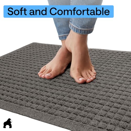 HydroABSORB Door Mat for Indoor Outdoor (Charcoal / 35" X 23")
