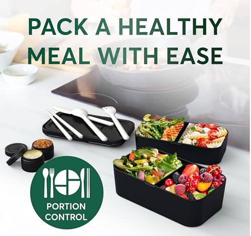 Bento Box Adult (L - 50 oz / Sapele Black)