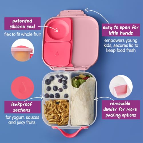 Mini Lunch Box (Flamingo Fizz / 1-pack)