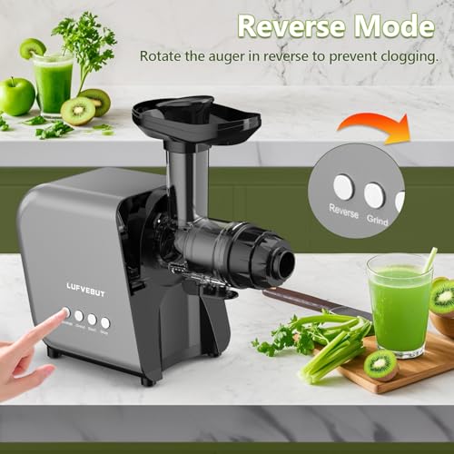 Masticating Juicer Machine 250W