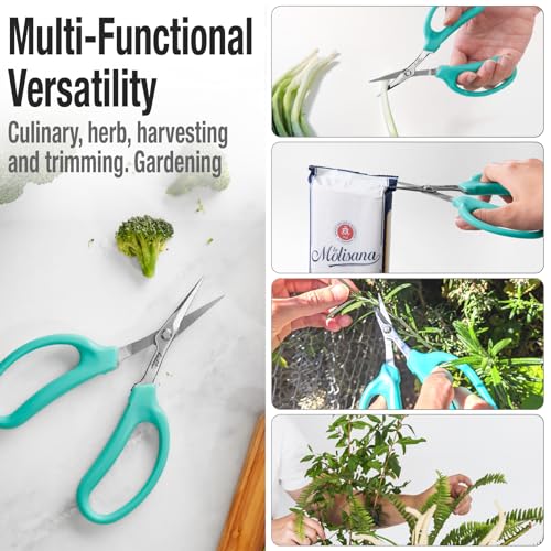 Culinary Herb Scissors