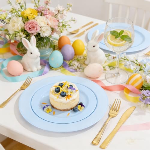 60PCS Light Blue Heavy Duty Plastic Disposable Party Plates Set (60 / Baby Blue)