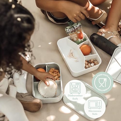 Leak Proof Square Bento Box Food (Lilac)