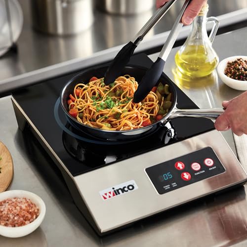 1800W Black Silver Portable Induction Cooktop Burner (1800 W (120V, NEMA 1-15P Plug) / Countertop / Silver/Black)