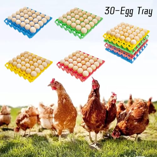 8 Pack Plastic Egg Tray Egg Crates 30 (8 Count)