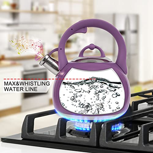 Tea Kettle for Stovetop (Purple)