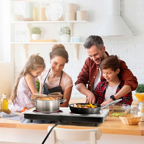 Hot Plate for Cooking (Infrared Silver / Double)