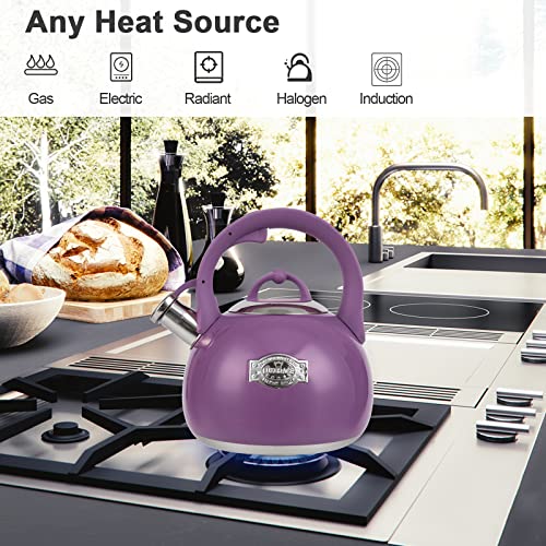 Tea Kettle for Stovetop (Purple)