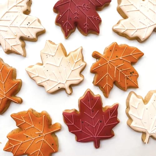 Thanksgiving Cookie Cutters Set 5Pcs Sturdy Fall Biscuit Cutters (Thanksgiving)
