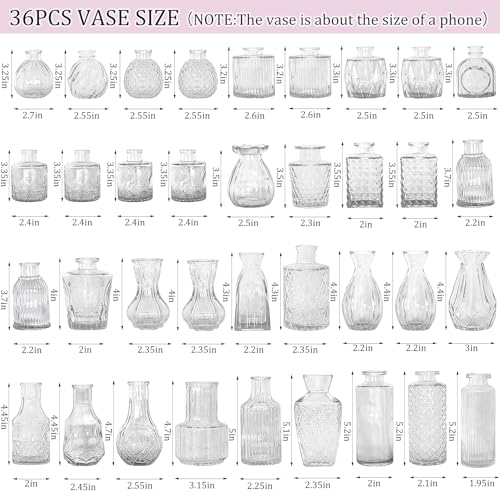 Set of 36 Glass Bud Vases Small Flower Vases for Centerpieces (Clear)