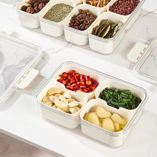 Snack Box Container (1 PC - 4 Compartments)