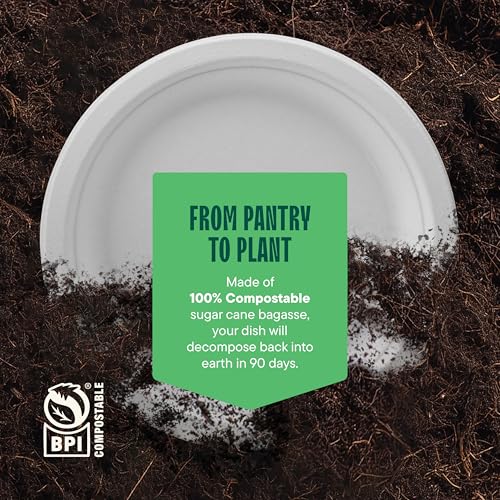 100% Compostable Paper Plates 10 Inch Bulk [500 Count] Heavy (10 inch Round -- 500 Pack)
