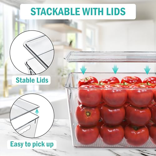 4 Pack Clear Storage Bins with Lids