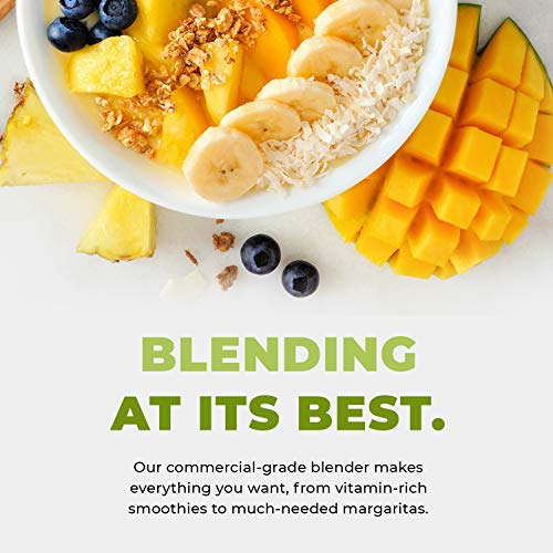 Commercial Blender with 5 (Black)