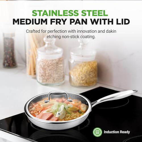 10” Non Stick Stainless Steel Frying Pan with Lid (10" Frying pan with Lid / Stainless Steel)