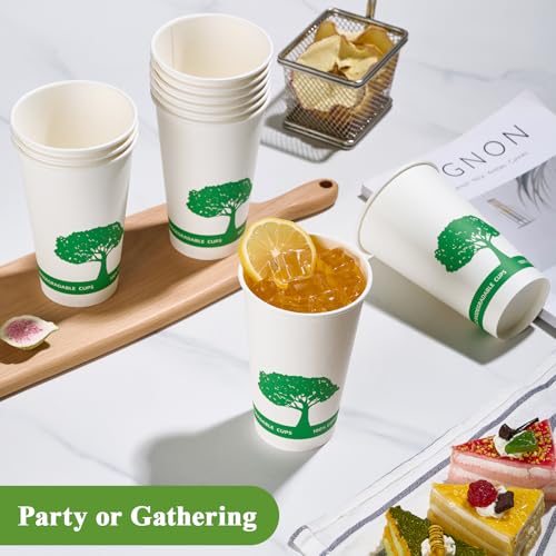 240 Pack Compostable Paper Cups (Green)