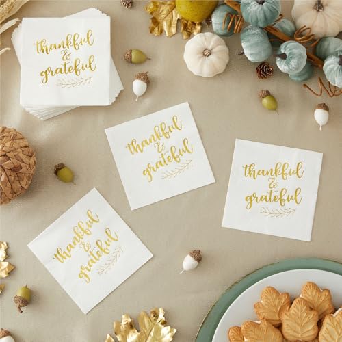 50 Pack Thanksgiving Cocktail Napkins Party Supplies Table Decorations (50 Pack)
