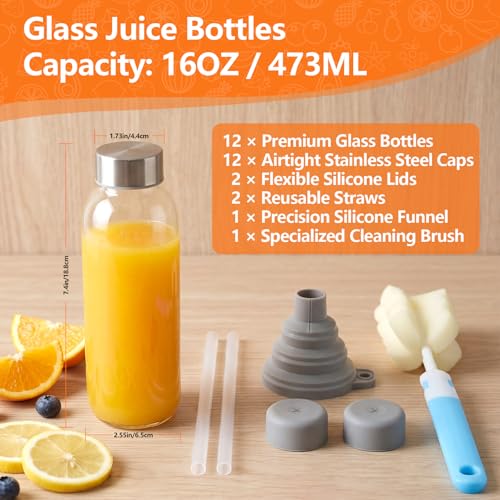 Glass Water Bottles with Lids 16 oz (Clear Glass Bottle 12 Pack / 16 Ounces)