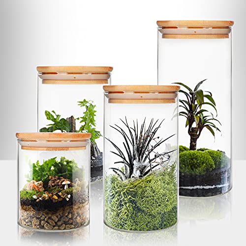 9 Pack 12 oz Glass Jars with Airtight Bamboo Lids for Kitchen