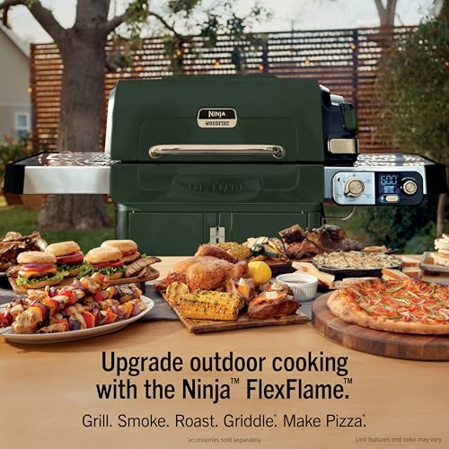 FlexFlame Grill & Smoker (Green)