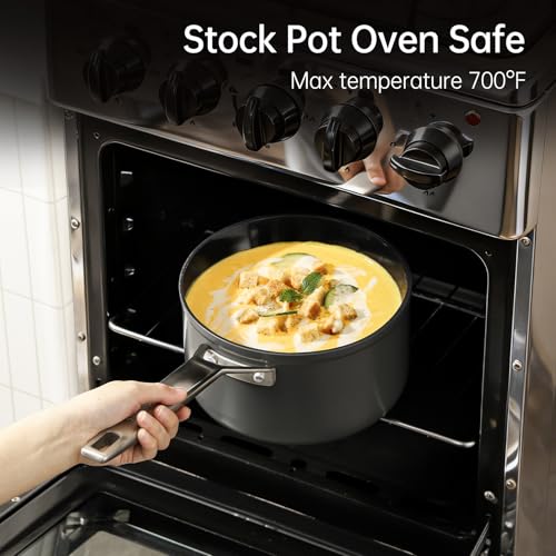 2.5 QT Nonstick Saucepan with Lid (2.5 Quarts)