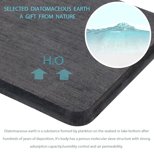 2Pcs Stone Soap Trays Water Absorbing Diatomite Coaster (Dark Gray / 8.3" x 3.9")