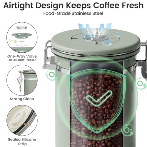 Coffee Canister with Window (Green / 22 oz)