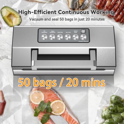 Powerful Suction Vacuum Sealer for Food (Silver)