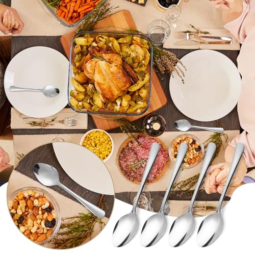 Windsor 96 Pcs Stainless Steel Dinner Spoons (96PCS Dinner Spoon)