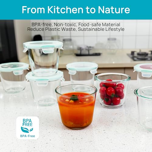 10Pack 22oz and 5pack Glass Storage Containers with Snap Airtight Lids (24oz)